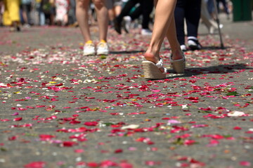 Female legs on street covered with red and pik petals