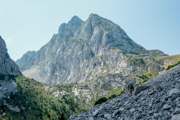 Naklejka premium rocky mountain landscape