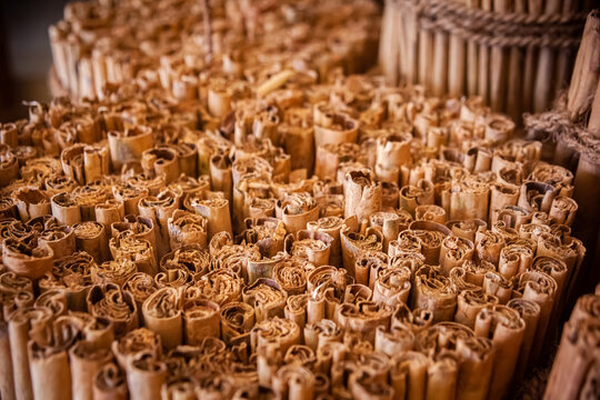 Sri Lankan authentic cinnamon. True cinnamon sticks. Pure Ceylon cinnamon. Close up.