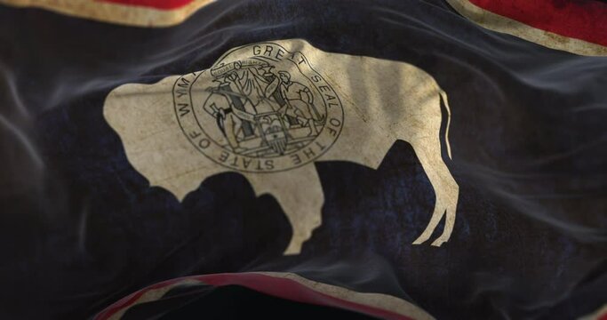 Old Wyoming State Flag waving at wind. Loop