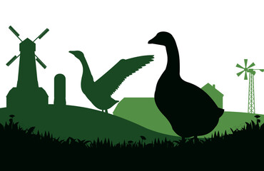 Geese grazing. Near farmer buildings. Scenery silhouette. Pasture on meadow. Agricultural farm bird. Rural landscape. Object isolated on white background. Vector