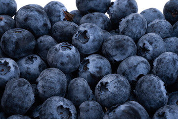 Blueberry isolated