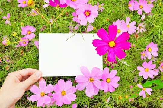 秋らしい の画像 1 901 件の Stock 写真 ベクターおよびビデオ Adobe Stock