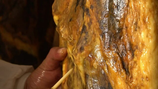 Leg of Iberian ham detailed macro shoot moving, where it is seen in the reflections of light on the black brown skin of the Iberian pig. the curator put a stick inside the leg where details are shown