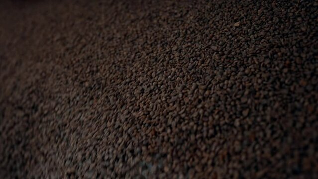 Coffee beans flowing into a cargo space