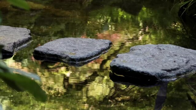 Two friends cross over stepping stones on a reflective pool.