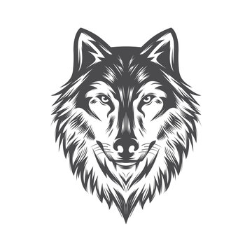 Wolf head Vector illustration. Wolf Vintage Logo Stock Vector.