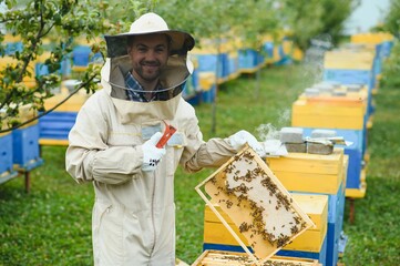Beekeeping, beekeeper at work, bees in flight.