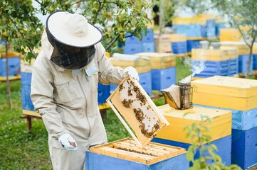 Beekeeping, beekeeper at work, bees in flight.