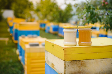 Honey jar and beehives on meadow in springtime. Apiculture and honey production. Healthy and...
