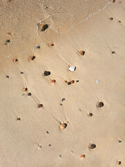 Sand sea shore