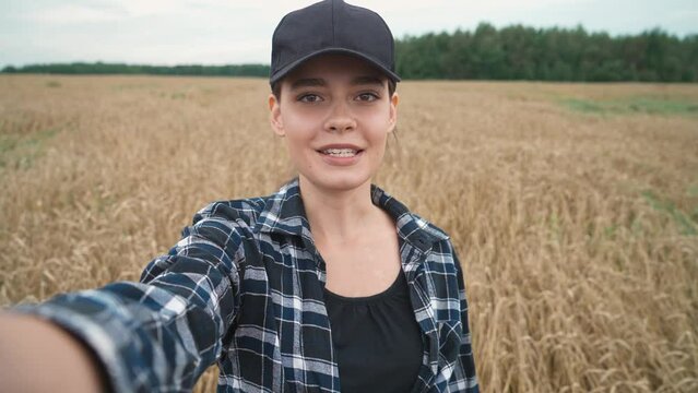 Countryside, female farmer walks through a field of rye and takes a video of himself, the video blogger share news about a good harvest, farmer takes a selfie.