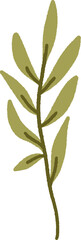 Botanical branch. Vector hand drawn illustration. 