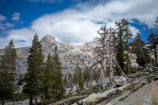 Clouds begin forming in the alpine zone above a peak in Sequioa National Park, California