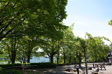 日本の山梨県の郊外の丘の初夏の風景