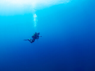 Anonymous diver swimming in deep blue sea with clear water