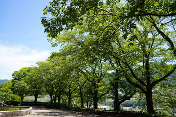 日本の山梨県の郊外の丘の初夏の風景