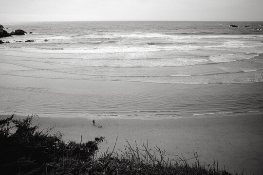 Moody black and white of man walking dog along beach on Pacific Coast Highway 1 in California