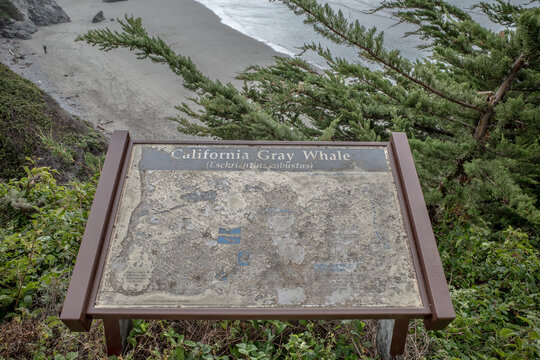 A faded old plaque with info about California Gray Whales is seen near the pacific ocean in Big Sur, CA