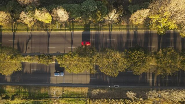 Top Down Overhead View Over Red Car Driving On Countryside Asphalted Street Of Argentina. Aerial Drone Pov