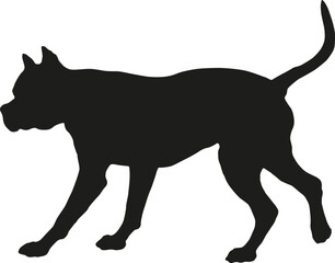 Black dog silhouette. Walking american staffordshire terrier puppy. Pet animals. Isolated on a white background. Vector illustration.