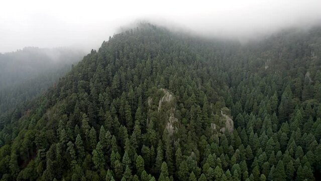 receding drone shot of the forests surrounding mexico city at cloudy sunrise