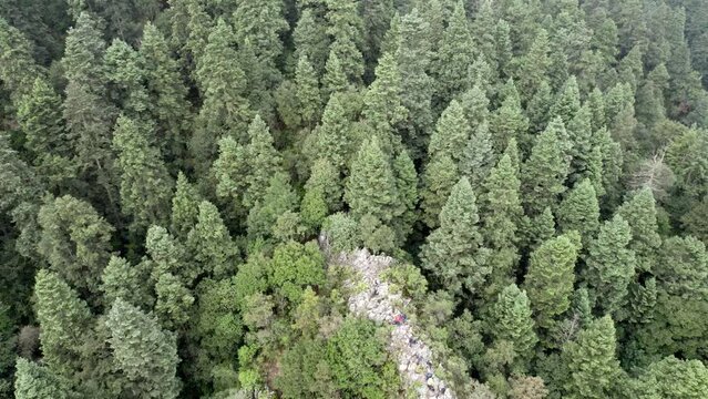 drone backwards shot of the thick forest that surrounds the south of mexico city and its surroundings