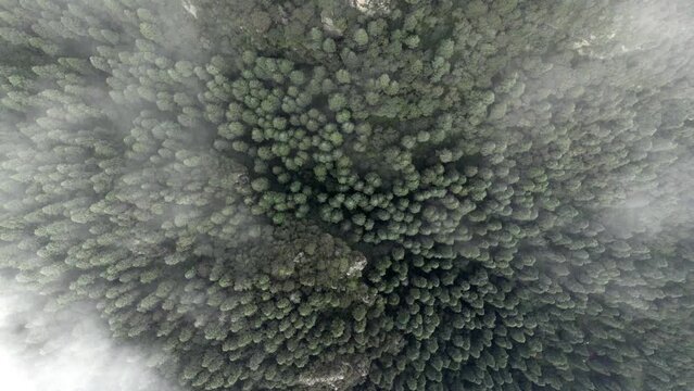 drone shot descending from the forest surrounding mexico city during a very cloudy morning