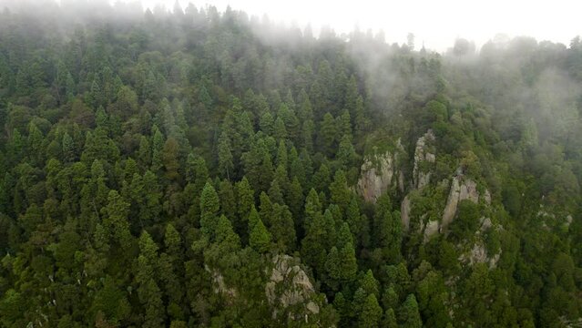 drone shot descending from the forest that surrounds the south of mexico city during a very cloudy morning