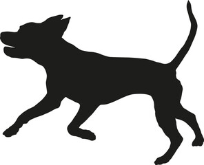 Black dog silhouette. Running and jumping american pit bull terrier puppy. Pet animals. Isolated on a white background. Vector illustration.