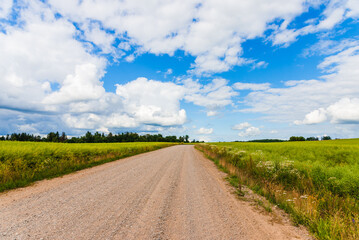 Fototapeta na wymiar Country rural sandy road near fields,trees.Summer landscape taken at good cloudscape weather.