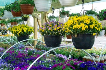flower pot for selling