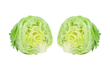 レタス イラスト リアル 断面 セット