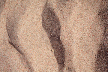 The texture of pure sand on the beach or in the desert. There is free space for the text.