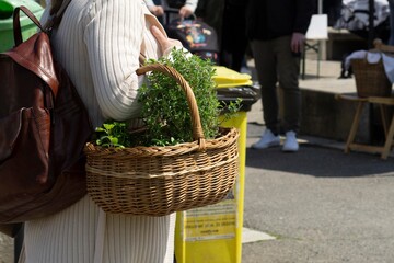 basket of vegetables