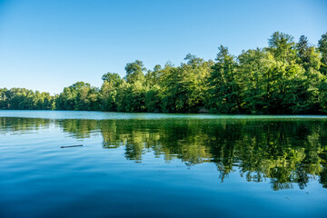 Fototapeta premium Lake Moosweiher in Freiburg in Summer 2022