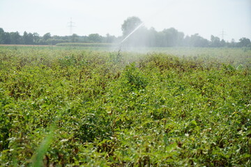 climate change lead to dryness and drought at high temperatures 