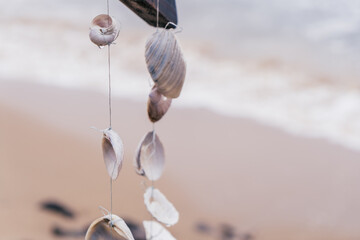 Seashell decoration by the sea