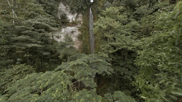First person view drone flight through Amazon jungle to secluded waterfall