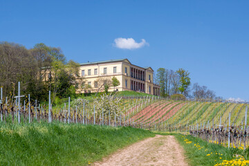 Schloß Villa Ludwighöhe