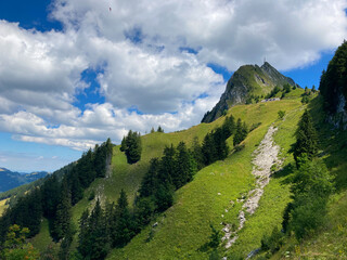 Naklejka premium Montreux, Switzerland: 01-08-2022: Panorama of the Switzerland Alpine mountains. Ridges, peaks and lake are visible in the background. Beautiful view in the French Canton.