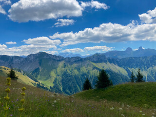 Fototapeta premium Montreux, Switzerland: 01-08-2022: Panorama of the Switzerland Alpine mountains. Ridges, peaks and lake are visible in the background. Beautiful view in the French Canton.