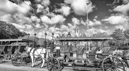 NEW ORLEANS - JANUARY 27, 2016: Black and white view Horse Carriage in front of Jackson Square. The...