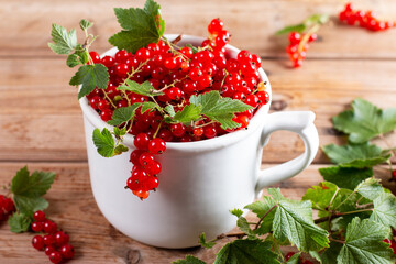 Fresh red currant berries in a cup on a wooden background. Close up and selective focus