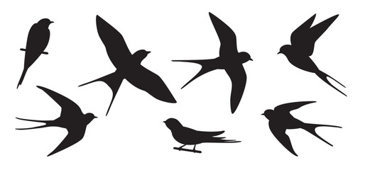 Flying swallows silhouettes. Bird in flight isolated on a white background. Vector illustration in a flat style.	