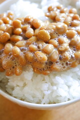 納豆ご飯