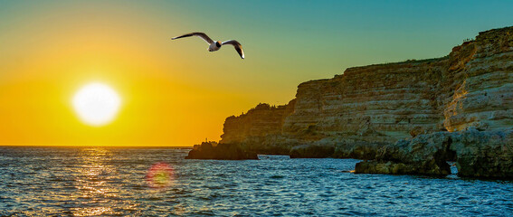 A bright sunset with the sun and a seagull in selective focus over the sea or ocean against the...
