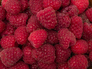 Raspberries background. Fresh red berries of ripe raspberries