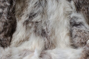 Beautiful abstract close-up gray fur background texture