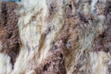 Beautiful abstract close-up brown fur background texture